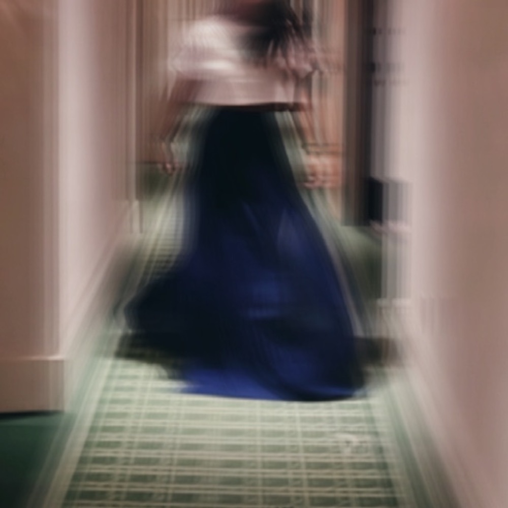 Chifon maxi skirt